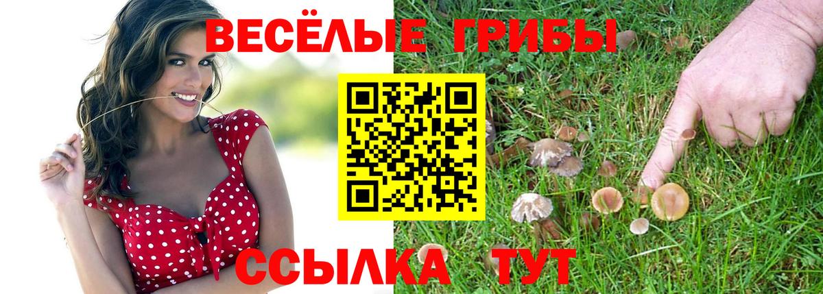 Галлюциногенные грибы мухоморы Киселёвск